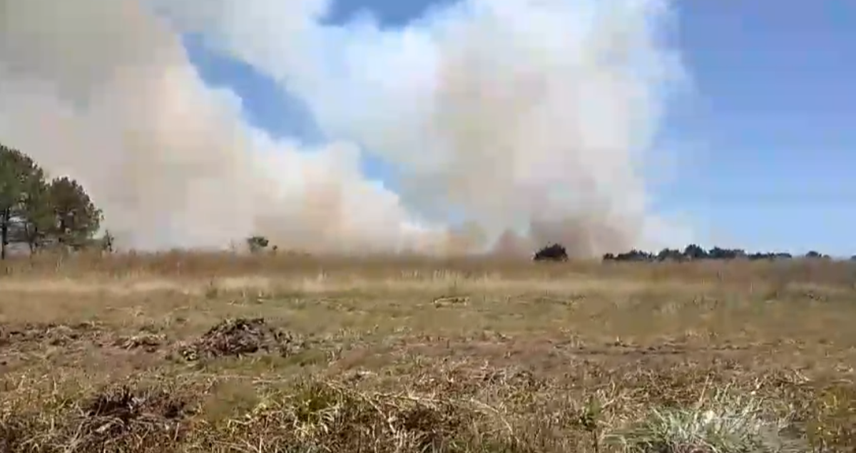 Importante Incendio En Un Pastizal De Canning