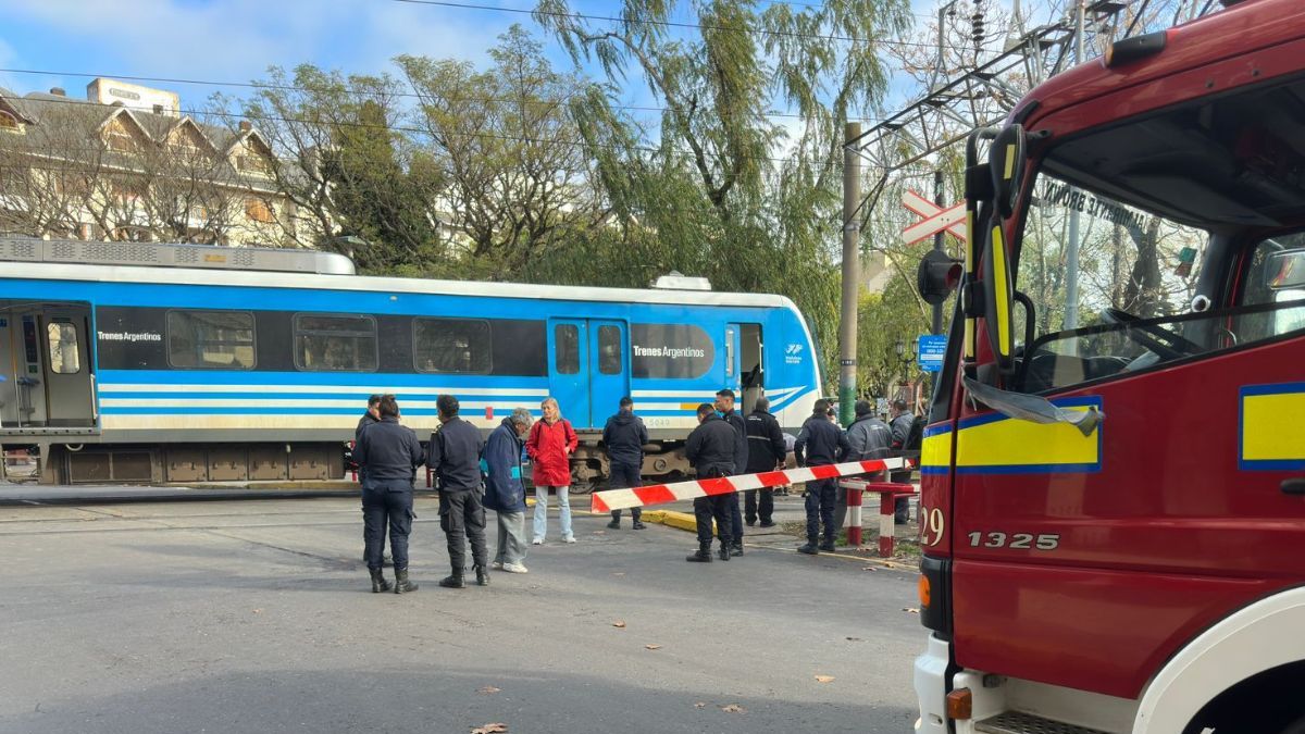 El Tren Roca Arroll A Una Persona En Adrogu Hubo Demoras Y Cancelaciones