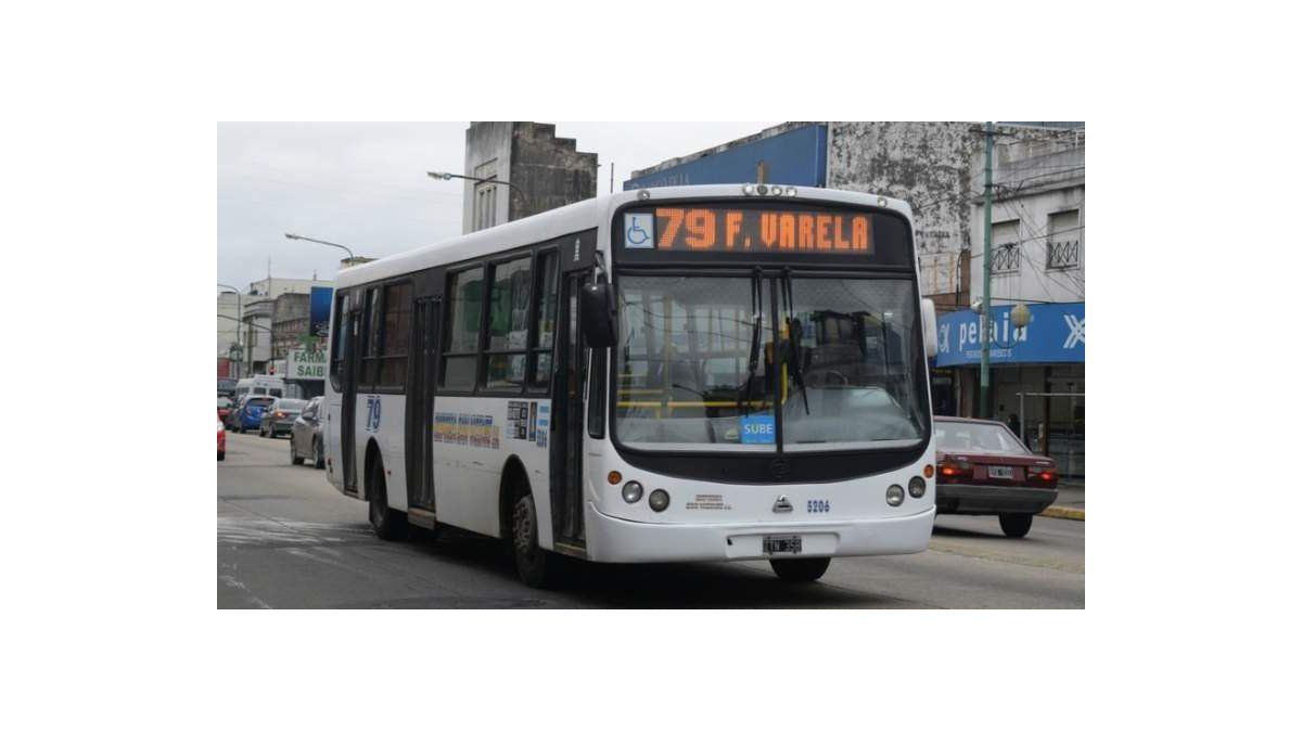 Paro de colectivos: ¿Cómo funcionan las líneas en Brown?