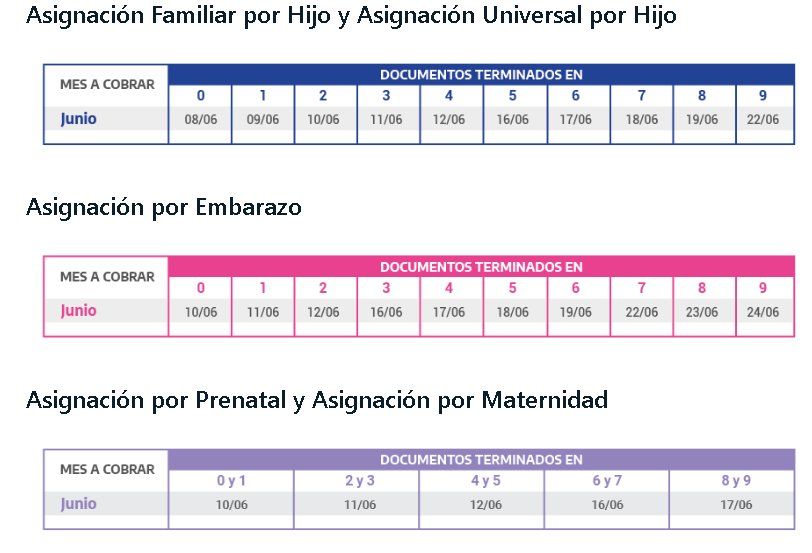 El calendario para los beneficiarios de la AUH y de Asignaci&oacute;n por Embarazo
