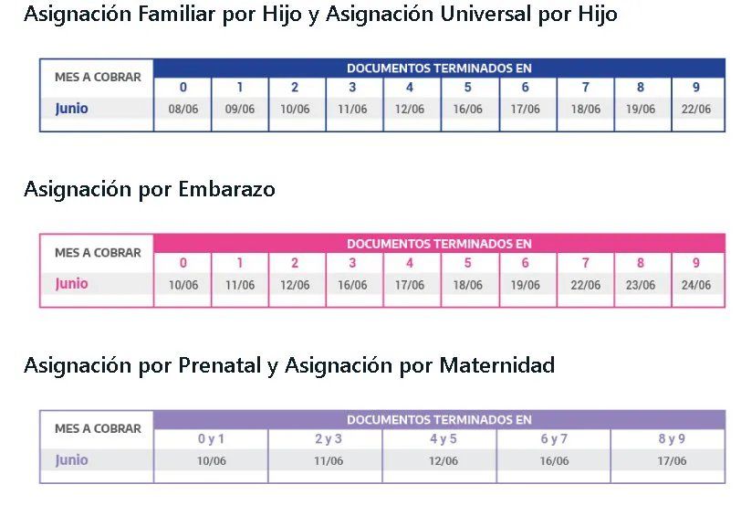 El pago seguir&aacute; el cronograma dispuesto por Anses para las mensualidades de junio