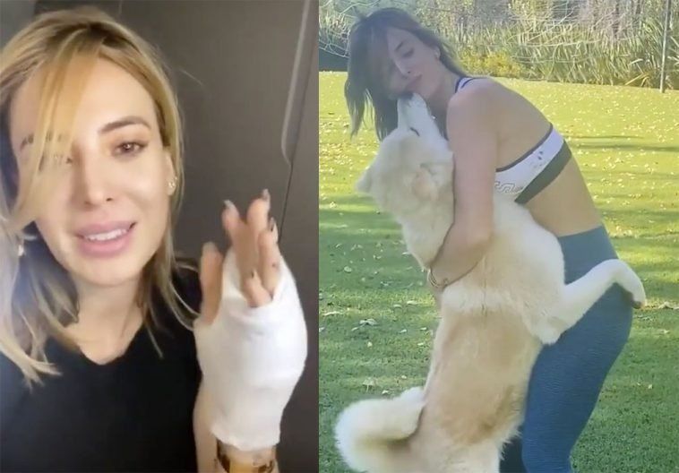 Jessica Cirio result&oacute; herida por su perro en su casa de San Vicente.