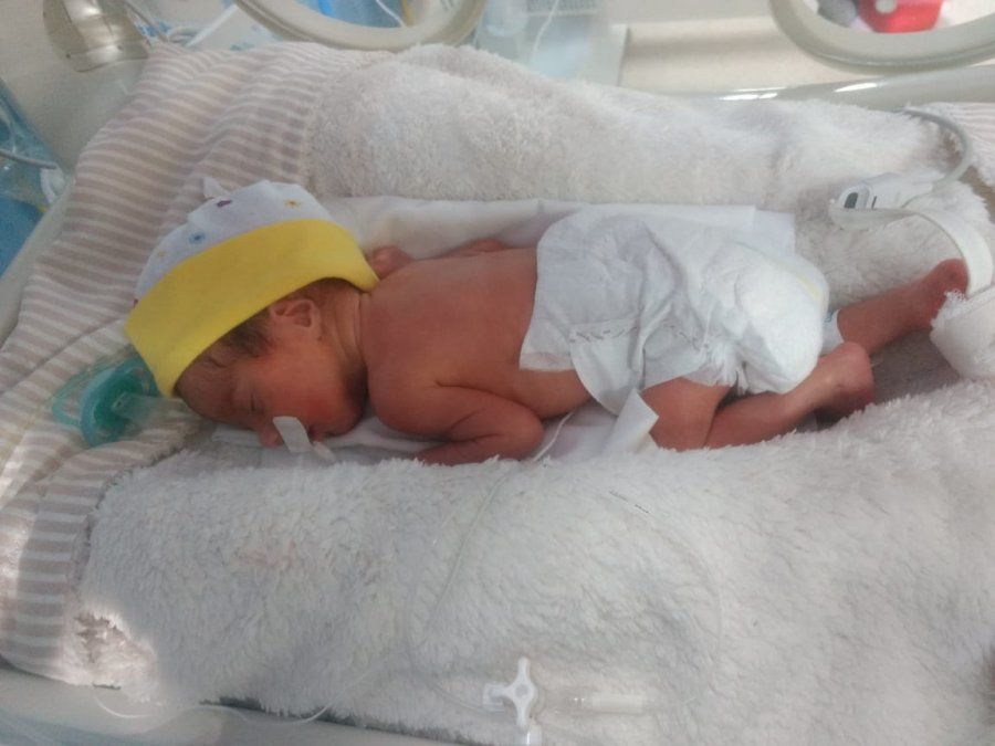 Delfina. Naci&oacute; con un peso de 1,490 kilogramos.