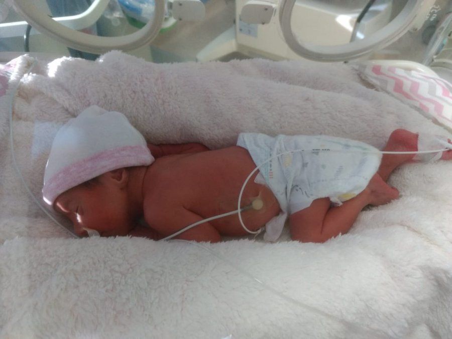 Victoria. Lleg&oacute; al mundo con un peso de 1,560 kilogramos.