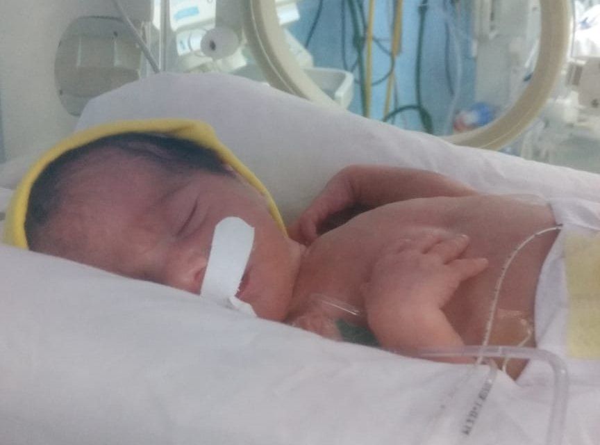 Primer plano de Delfina.