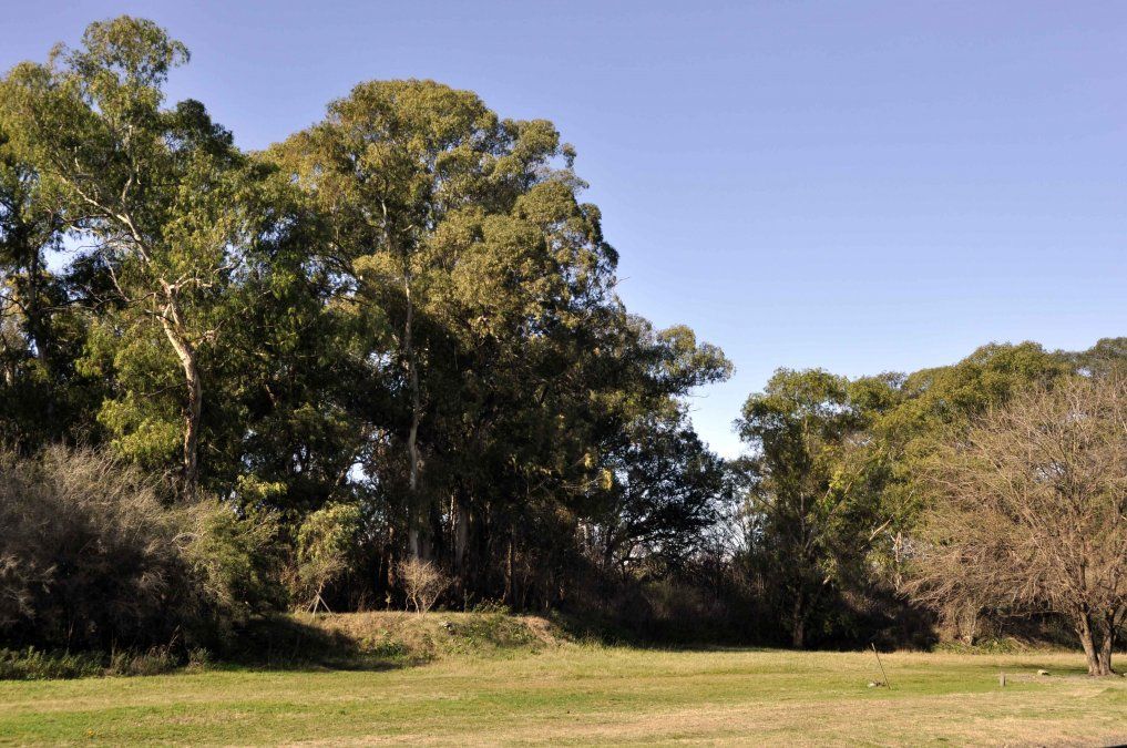 La Reserva Santa Catalina, uno de los espacios verdes m&aacute;s extensos&nbsp;de Lomas de Zamora.