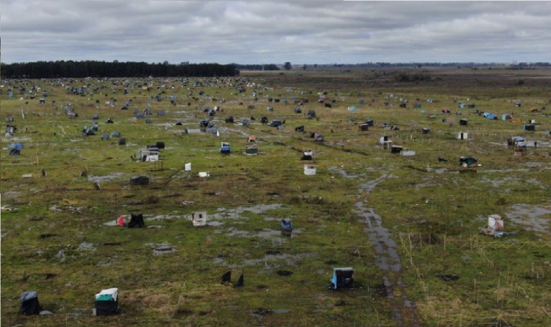 La toma de Guernica ya tiene orden de desalojo.