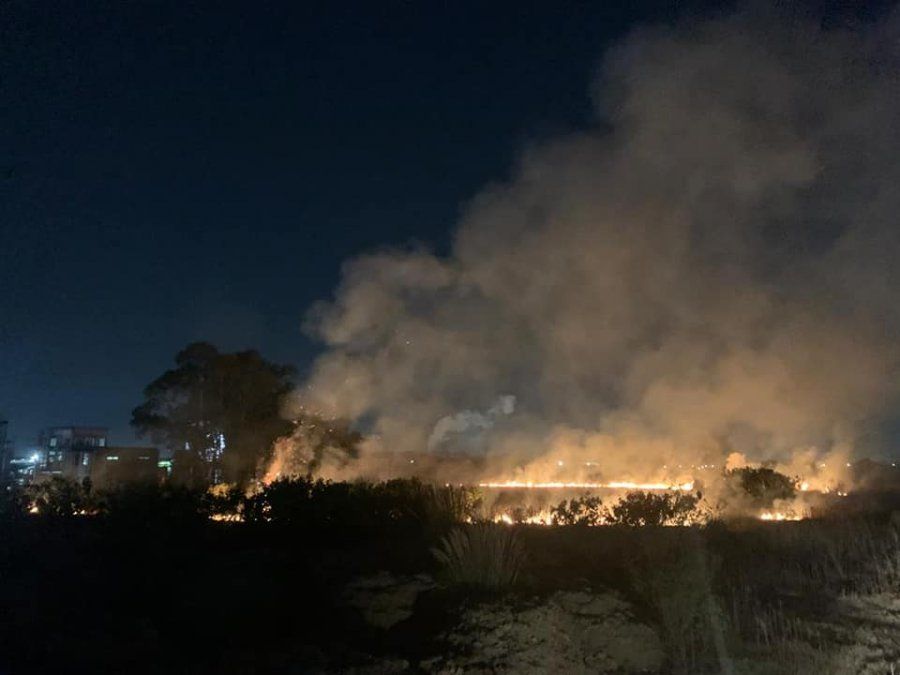 El fuego consumi&oacute; una importane suferficie de &aacute;rboles y pastos en un predio lindero a la empresa Dapsa.
