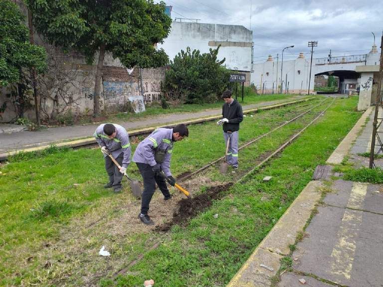 Voluntarios en plena acción