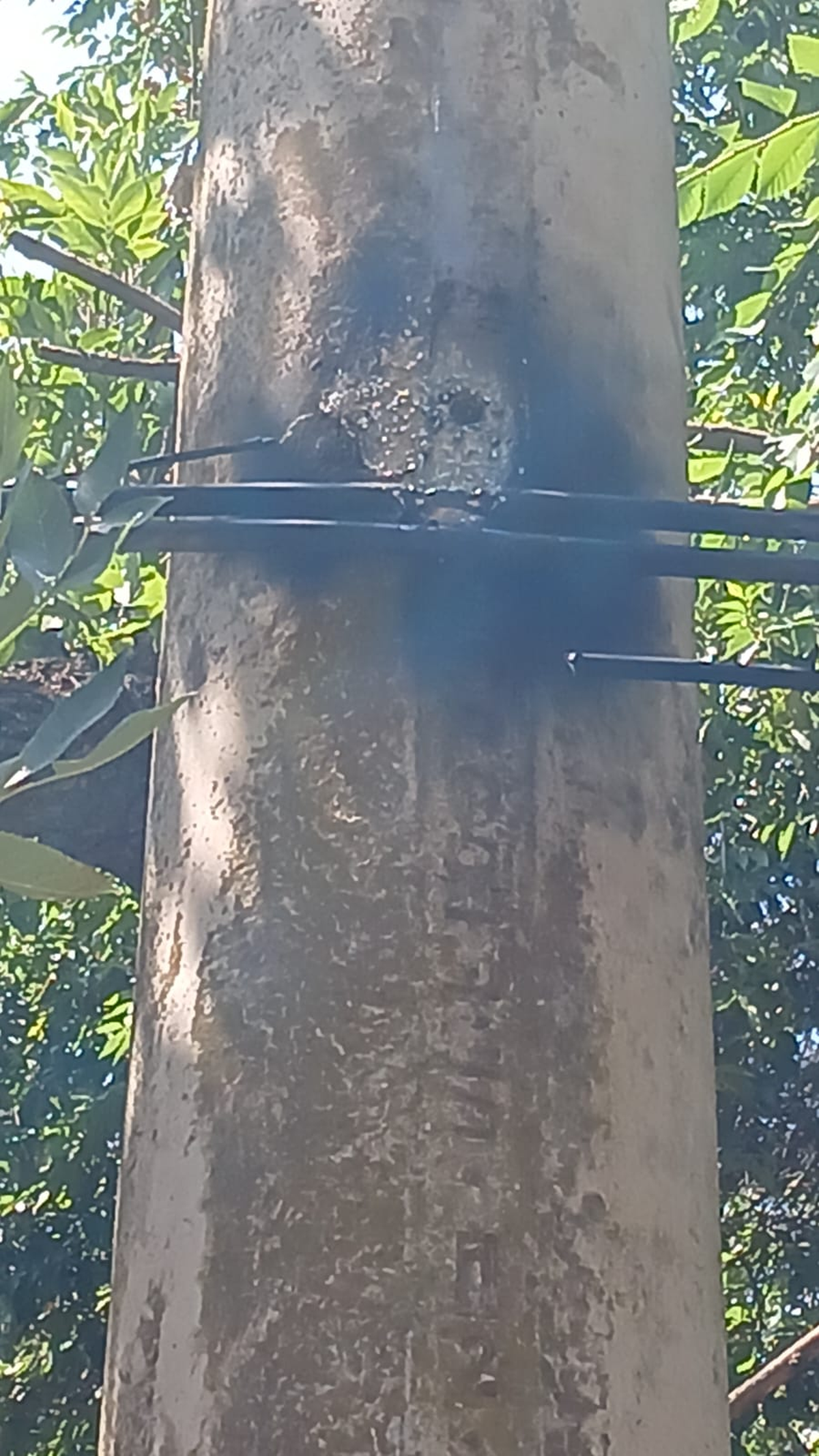 Hay cables quemados. 
