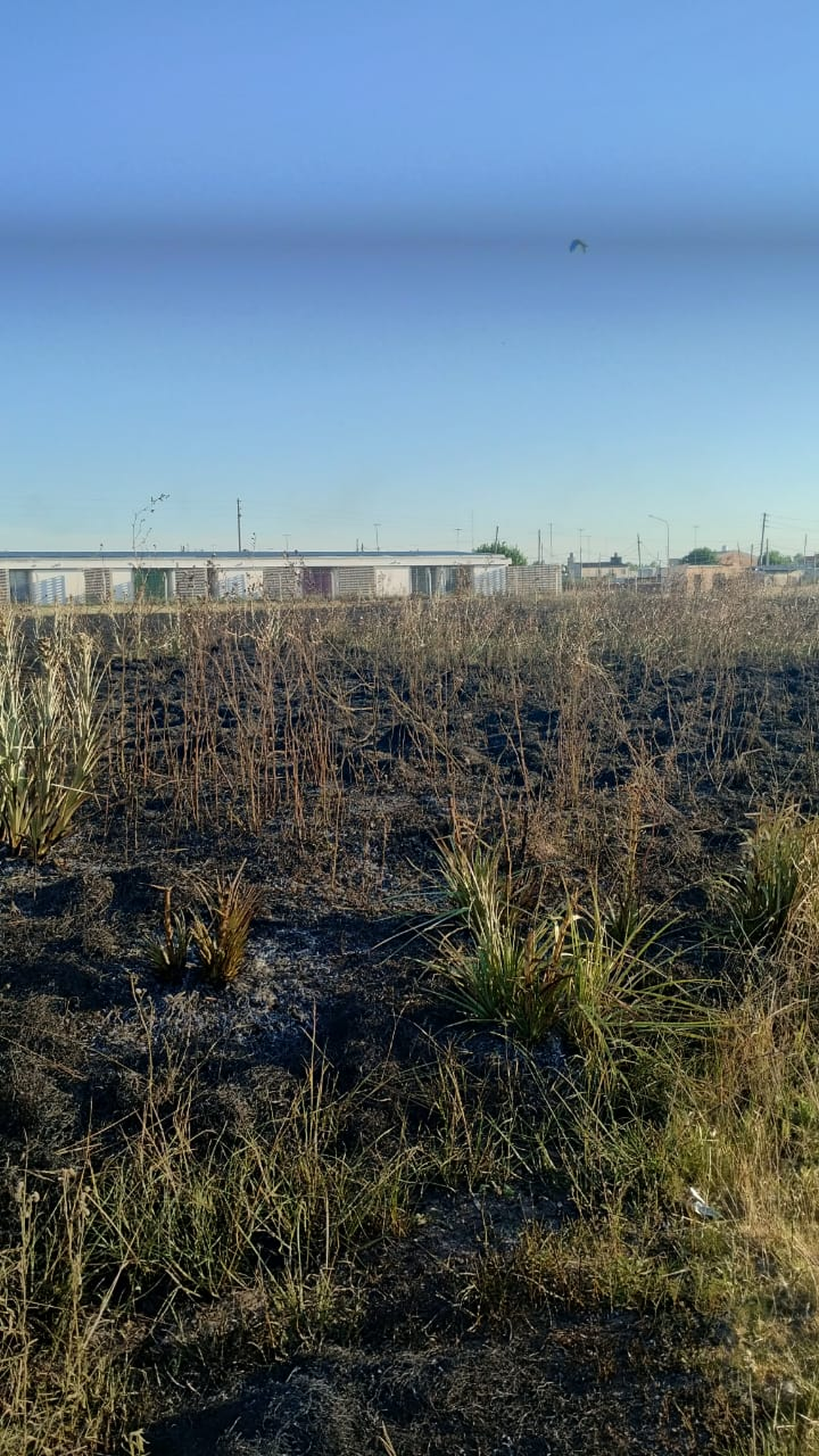 De esta manera qued&oacute; el lugar tras el incendio en Glew.