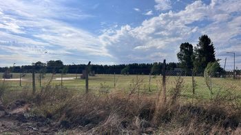 Canning: disputa por un campo de 80 hectáreas en Sargento Cabral donde se desarrolló Naranjos II