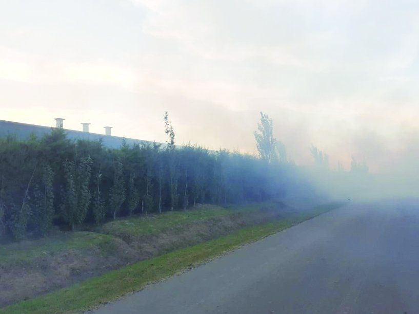 Alerta y preocupación por peligrosos incendios rurales en la región