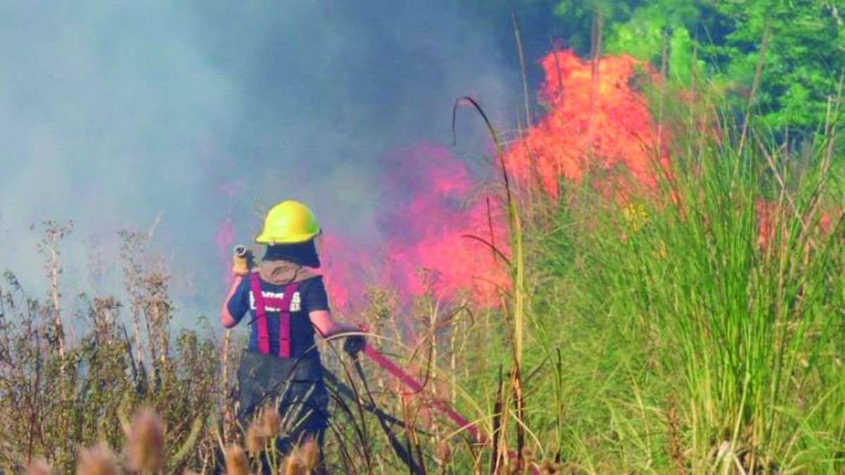 Canning fue uno de los sectores más afectados por los incendios forestales del último verano.