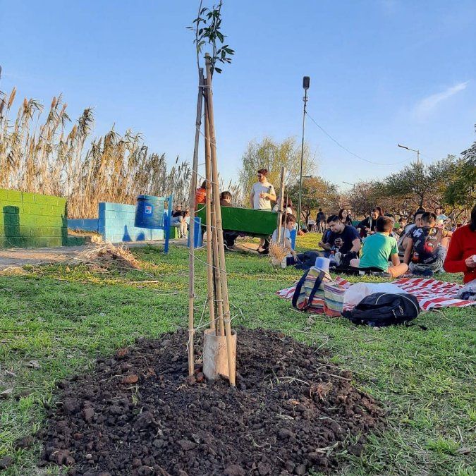 Homenajes en Lomas de Zamora: el Vivero Los Tilos de Banfield plantó el sen del campo en el Parque Finky.