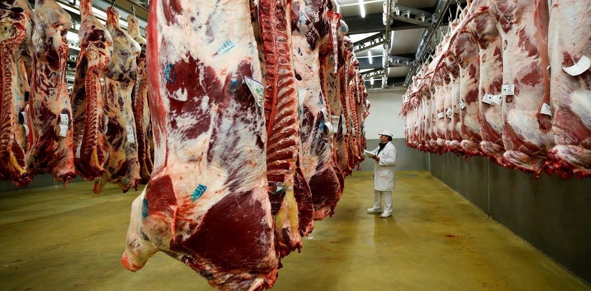 Alerta tras las intoxicaciones con carne en Berazategui: desmienten que haya más casos en la región