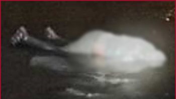 Horror en Budge: encontraron otro cuerpo en el Riachuelo 