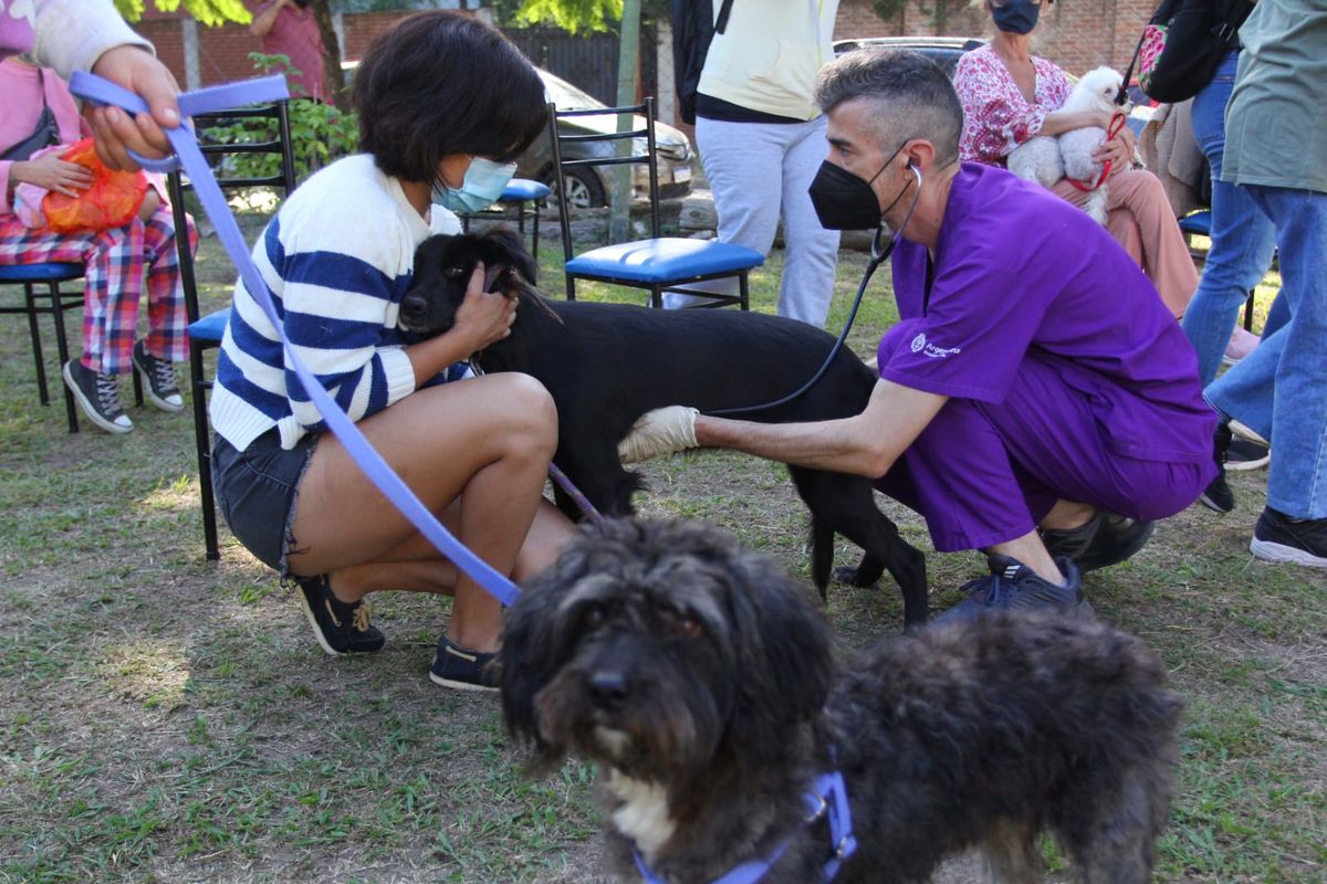 Del martes 26 al viernes 29 de abril se desarrollará la Semana del Animal en Esteban Echeverría.