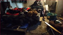 Trágico incendio en un refugio en Lomas: murieron 5 perros.