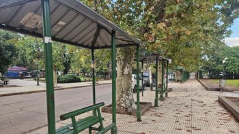 Paro de colectivos: qué líneas operan y cuáles no en la región