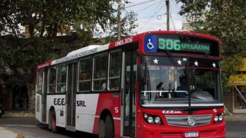 Difundieron un ránking con las líneas de colectivos más usadas en el AMBA: cuáles son de la región