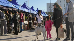 banfield: realizaran una jornada de vacunacion, adopcion y ayuda para animales