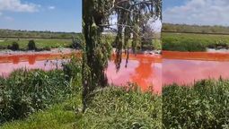 avellaneda: el arroyo sarandi presento un alarmante color rojo