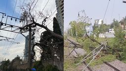 calles anegadas, postes caidos, problemas en los servicios: las consecuencias del temporal en la region