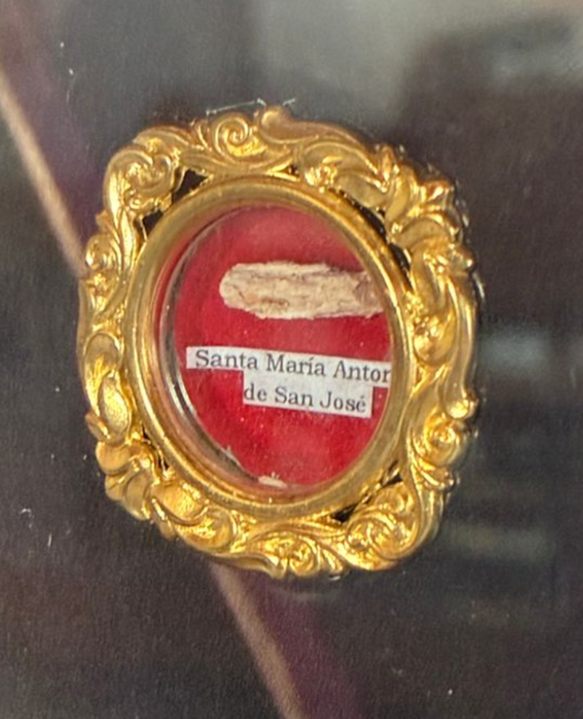 Las reliquias se encuentran en la capilla Villa Inmaculada de Monte Grande. 