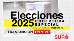 elecciones 2025: cobertura especial de el diario sur y transmision en vivo desde las 19 hs