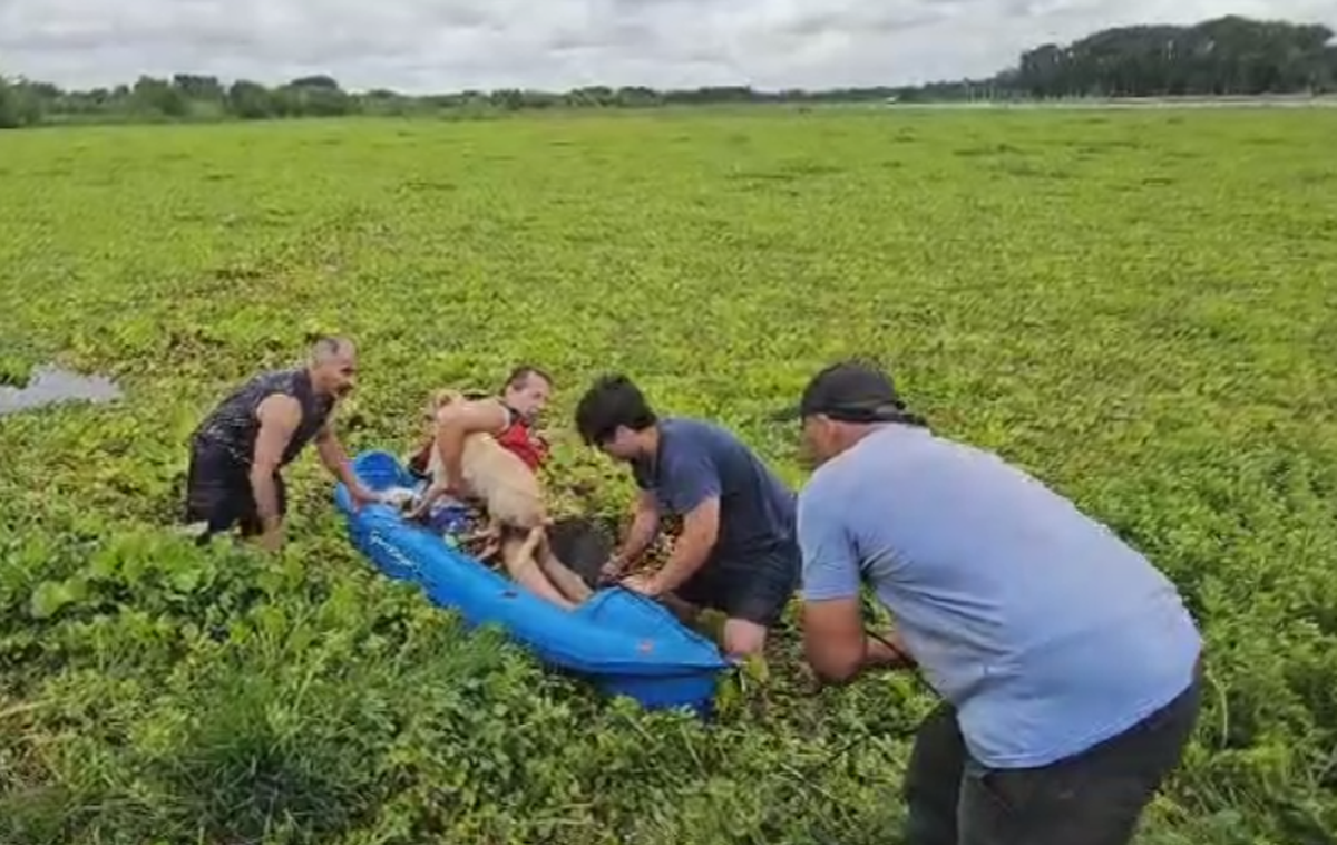 Uno de los vecinos se metió en kayak y otro, con el agua hasta el cuello.