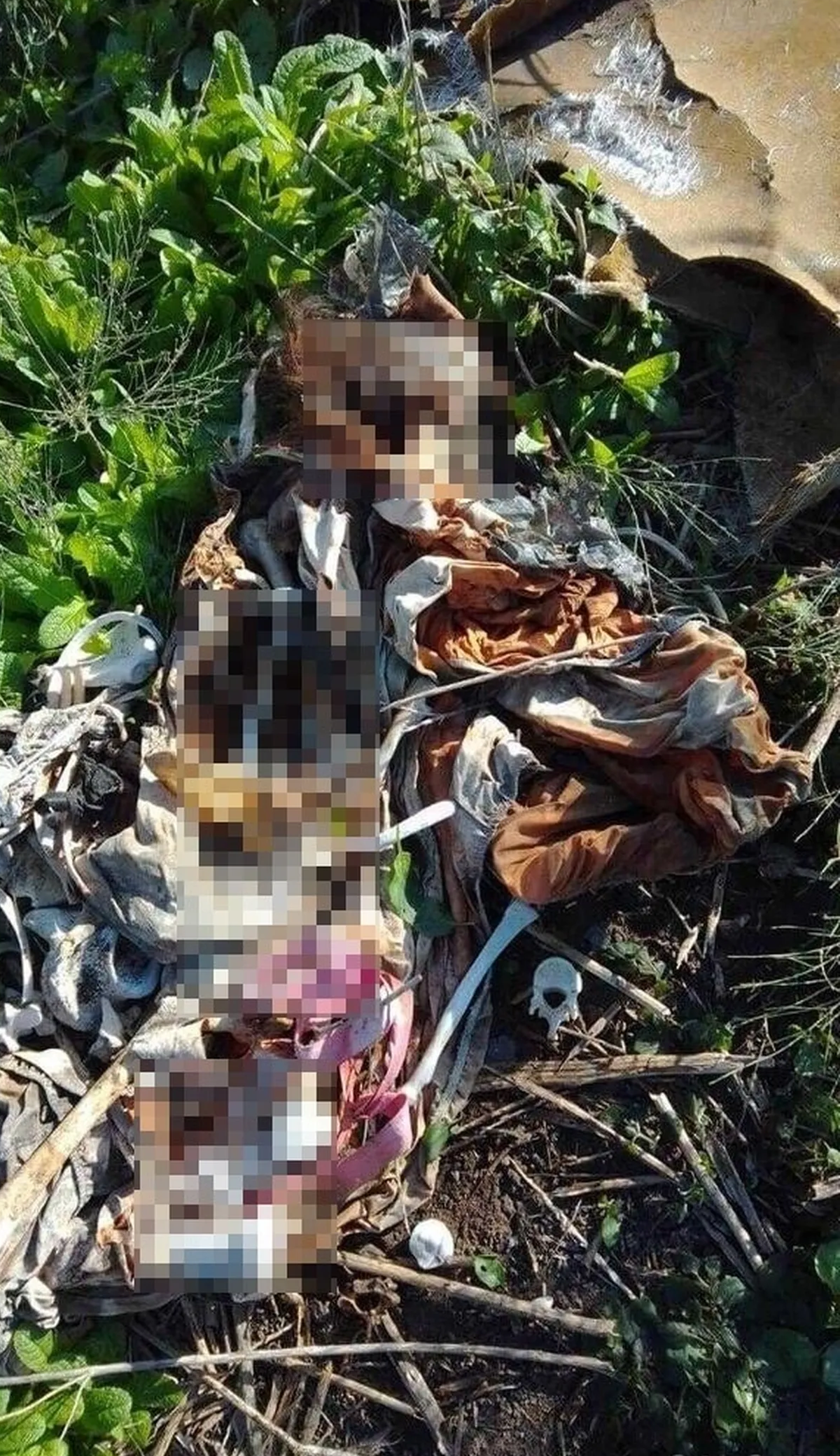 Restos humanos fueron encontrados a la vera de la autopista Jorge Newbery, en Esteban Echeverr&iacute;a.