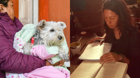 Agenda de talleres del Municipio de San Vicente: astrología creativa y capacitación en derecho animal