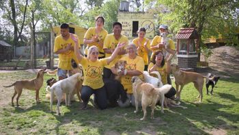El Refugio San Francisco de Asís necesita ayuda para vacunar a 350 animales rescatados