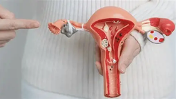 lomas: realizaran jornadas de prevencion del cancer de cuello uterino en el hospital gandulfo