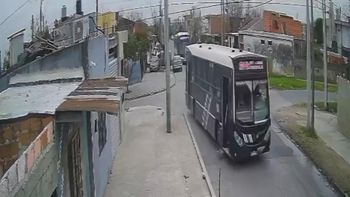 Lomas: colectivero atropelló una perra y la abandonó