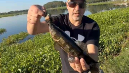 pesca en la laguna de san vicente: un vecino siembra peces y asegura que ya se ven los resultados