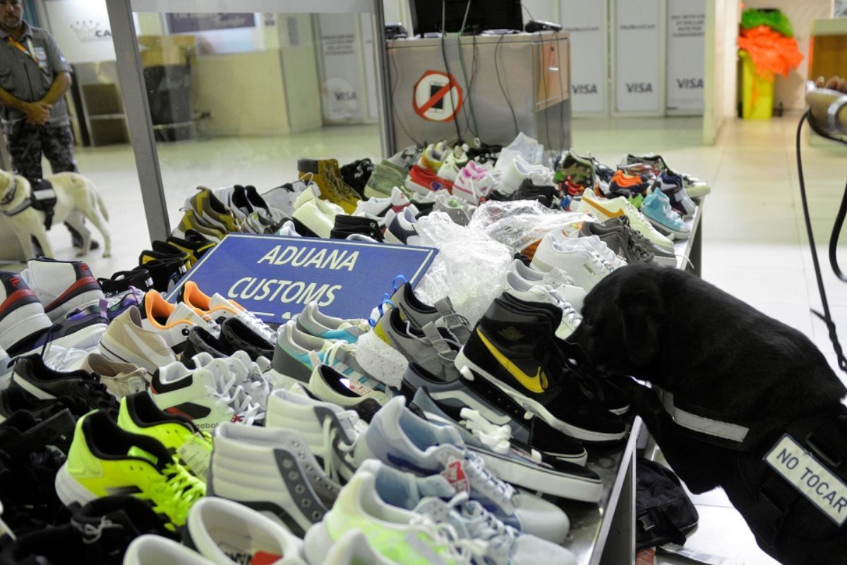 De Canadá a Ezeiza: quiso entrar con 100 pares de zapatillas y se las incautaron