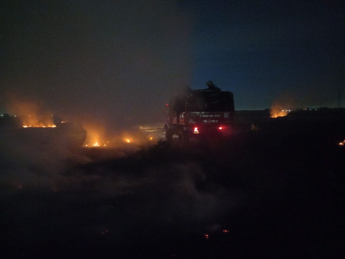 Incendio en el predio de Covelia en Lomas de Zamora: es el tercero en una semana