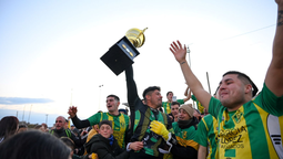 las mandarinas, bicampeon en la asociacion metropolitana de san vicente