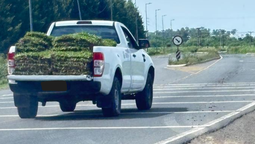 canning: un vivero denuncio el robo de su carga en la puerta de horizontes al sur por una camioneta con el logo del pami