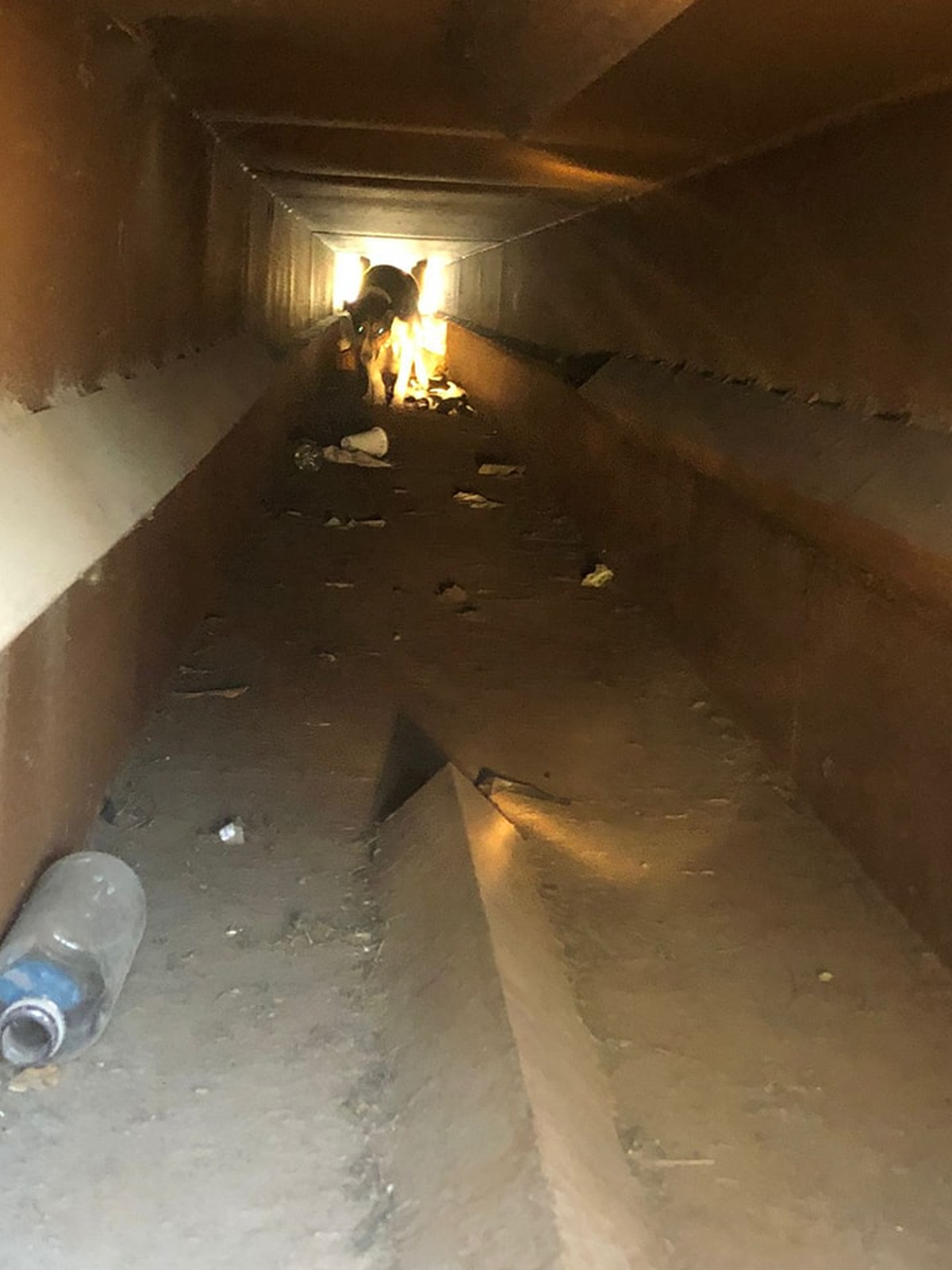 El rescate se realizó en Luis Guillón, Esteban Echeverría. 