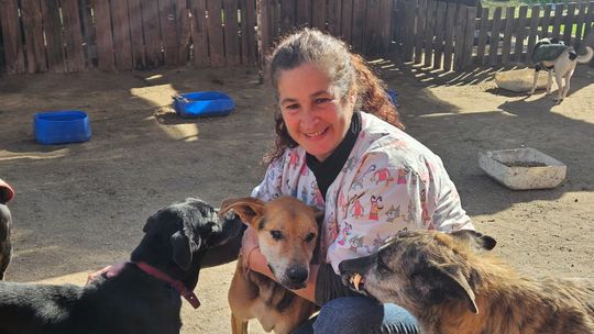 Día del Veterinario: la tarea de Marcela, que atiende a los perros de El Campito Refugio de Monte Grande