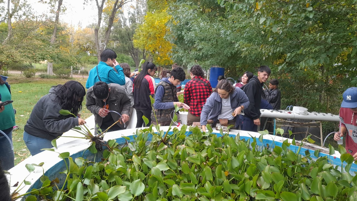 La iniciativa se realiza con el apoyo de la Escuela Agraria 1, la Jefatura Distrital de educación de San Vicente y el Municipio. 
