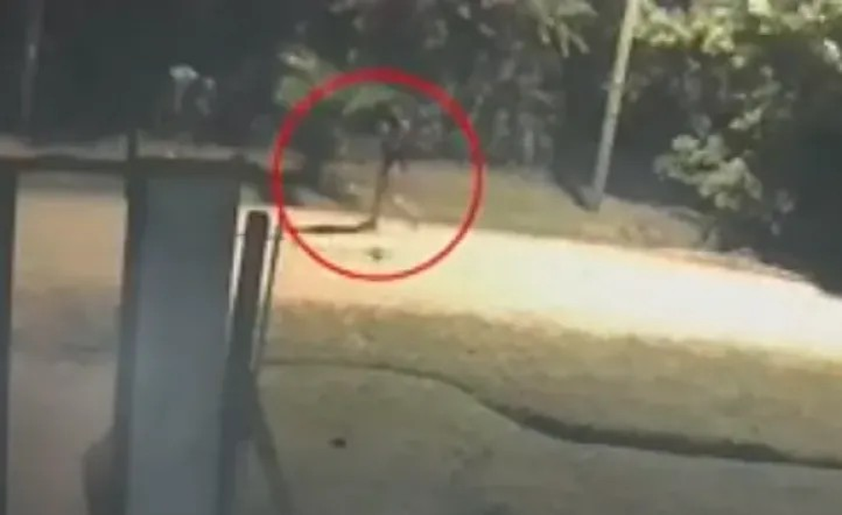 Imágenes de las cámaras de seguridad de la zona.