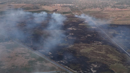como quedo la zona afectada por el incendio de pastizales en guernica: intenso trabajo de bomberos