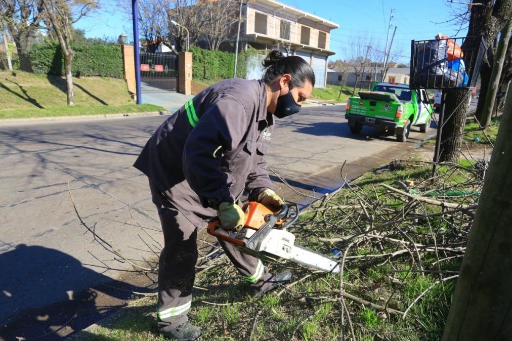 La Municipalidad de Esteban Echeverría poda las ramas para mejorar iluminación con la instalación de las luces LED.