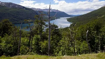 Dolor en Lomas de Zamora por la muerte de un vecino durante un trekking en El Bolsón