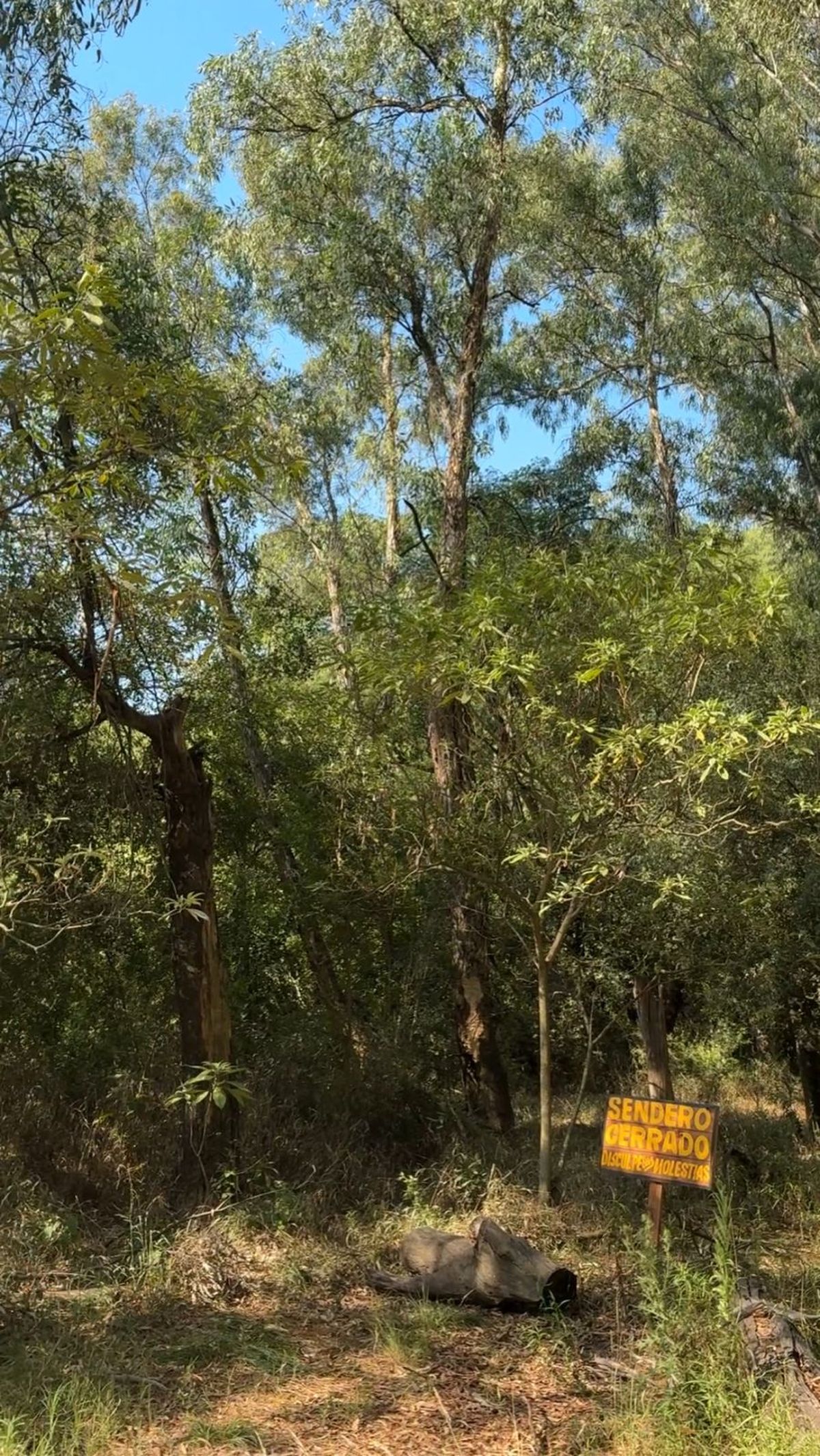 Senderos de la Reserva Santa Catalina, uno de los espacios donde se desarrollan actividades de verano.