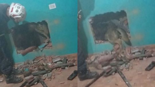 Bomberos Voluntarios de Glew rescataron a un perro atorado entre dos paredes